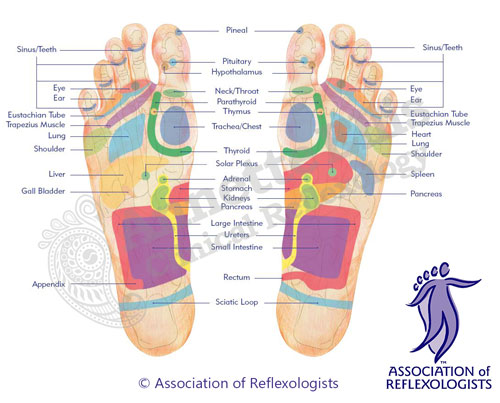 Reflexology Footmap